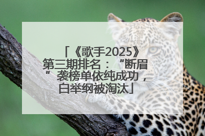 《歌手2025》第三期排名：“断眉”袭榜单依纯成功，白举纲被淘汰