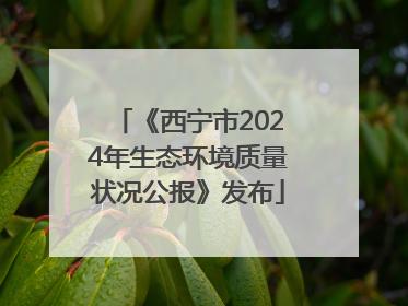 《西宁市2024年生态环境质量状况公报》发布