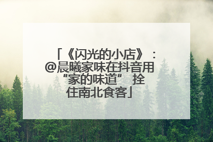 《闪光的小店》：@晨曦家味在抖音用 “家的味道” 拴住南北食客