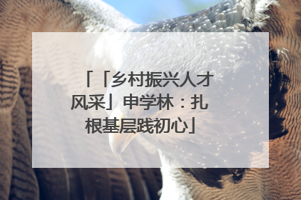 「乡村振兴人才风采」申学林：扎根基层践初心