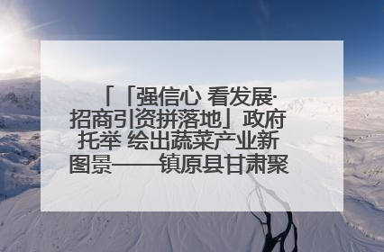 「强信心 看发展·招商引资拼落地」政府托举 绘出蔬菜产业新图景——镇原县甘肃聚广利现代设施蔬菜种植基地见闻