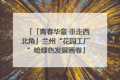 「青春华章·重走西北角」兰州“花园工厂”绘绿色发展画卷