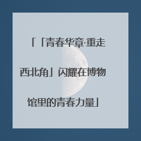 「青春华章·重走西北角」闪耀在博物馆里的青春力量