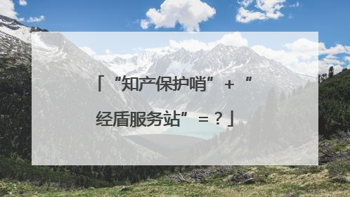 “知产保护哨”+“经盾服务站”=？