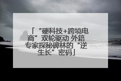 “硬科技+跨境电商”双轮驱动 外籍专家探秘碑林的“逆生长”密码