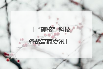 “硬核”科技备战高原夏汛