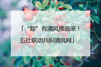 “粽”有清风拂面来！五社联动共织清风网