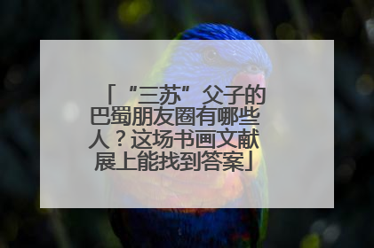 “三苏”父子的巴蜀朋友圈有哪些人？这场书画文献展上能找到答案