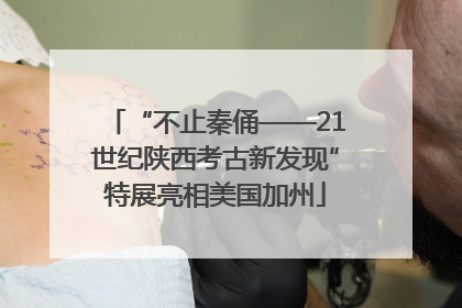 “不止秦俑——21世纪陕西考古新发现”特展亮相美国加州