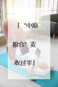 “中原粮仓”麦收过半