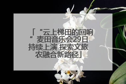 “云上梯田的回响”麦田音乐会29日持续上演 探索文旅农融合新路径