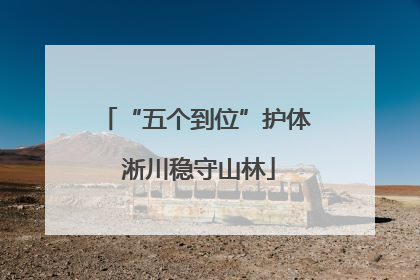 “五个到位”护体 淅川稳守山林