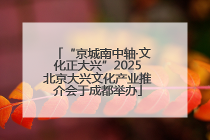 “京城南中轴·文化正大兴”2025北京大兴文化产业推介会于成都举办