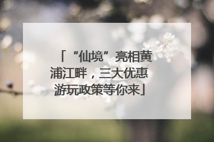“仙境”亮相黄浦江畔，三大优惠游玩政策等你来