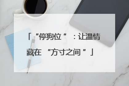 “停狗位 ”：让温情藏在 “方寸之间 ”
