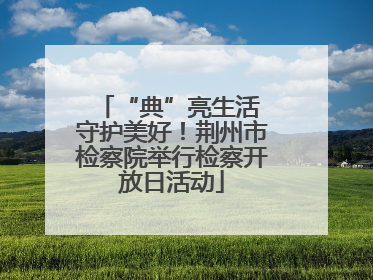 “典”亮生活 守护美好！荆州市检察院举行检察开放日活动