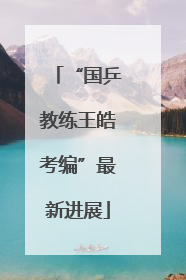 “国乒教练王皓考编”最新进展