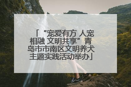 “宠爱有方 人宠相融 文明共享”青岛市市南区文明养犬主题实践活动举办