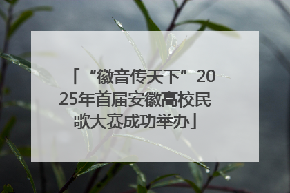 “徽音传天下”2025年首届安徽高校民歌大赛成功举办
