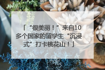 “很美丽！”来自10多个国家的留学生“沉浸式”打卡桃花山！