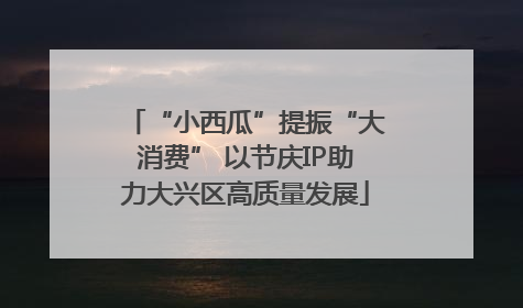 “小西瓜”提振“大消费” 以节庆IP助力大兴区高质量发展