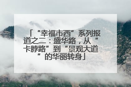 “幸福市西”系列报道之二：盛华路，从“卡脖路”到“景观大道”的华丽转身