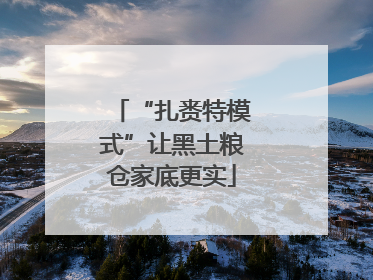 “扎赉特模式”让黑土粮仓家底更实