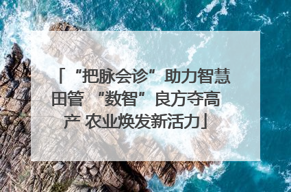 “把脉会诊”助力智慧田管 “数智”良方夺高产 农业焕发新活力