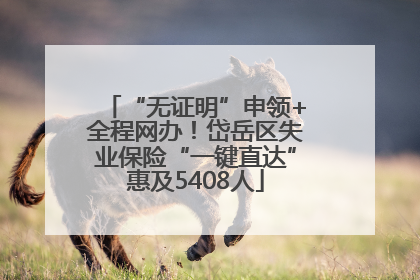 “无证明”申领+全程网办！岱岳区失业保险“一键直达”惠及5408人