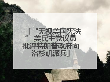 “无视美国宪法” 美民主党议员批评特朗普政府向洛杉矶派兵