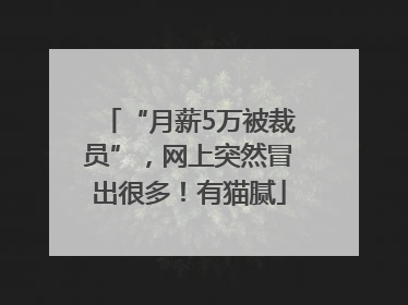 “月薪5万被裁员”，网上突然冒出很多！有猫腻