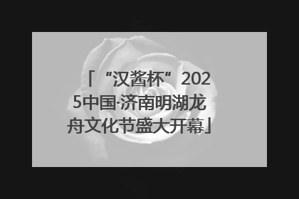 “汉酱杯”2025中国·济南明湖龙舟文化节盛大开幕