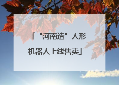 “河南造”人形机器人上线售卖