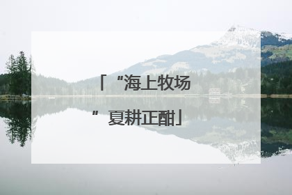 “海上牧场”夏耕正酣