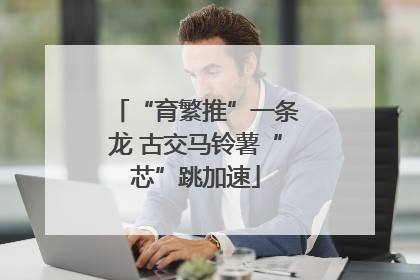 “育繁推”一条龙 古交马铃薯“芯”跳加速