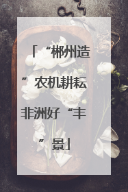 “郴州造”农机耕耘非洲好“丰”景