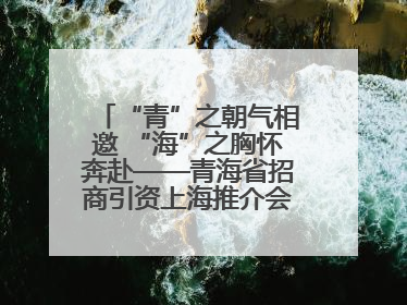 “青”之朝气相邀 “海”之胸怀奔赴——青海省招商引资上海推介会现场见闻