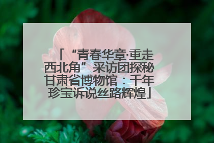 “青春华章·重走西北角”采访团探秘甘肃省博物馆：千年珍宝诉说丝路辉煌