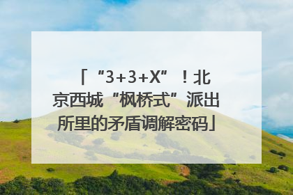 “3+3+X”！北京西城“枫桥式”派出所里的矛盾调解密码