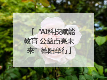 “AI科技赋能教育 公益点亮未来”德阳举行