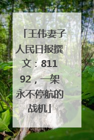 王伟妻子人民日报撰文：81192，一架永不停航的战机