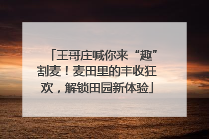 王哥庄喊你来“趣”割麦！麦田里的丰收狂欢，解锁田园新体验