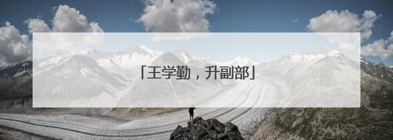 王学勤，升副部