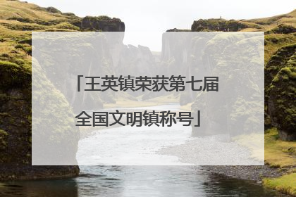 王英镇荣获第七届全国文明镇称号