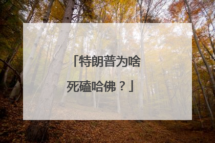 特朗普为啥死磕哈佛？