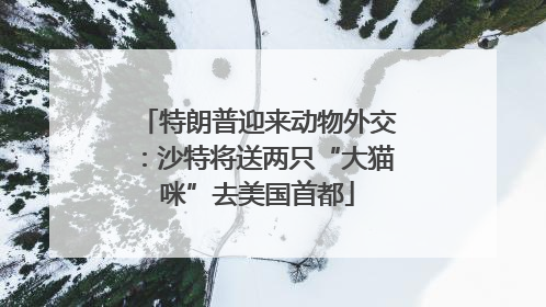 特朗普迎来动物外交：沙特将送两只“大猫咪”去美国首都