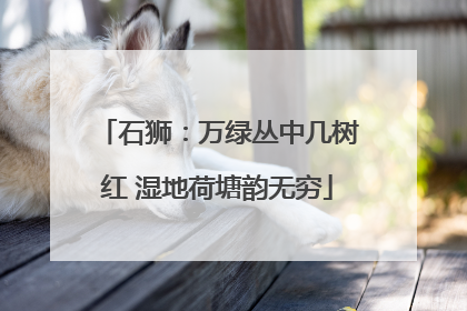 石狮：万绿丛中几树红 湿地荷塘韵无穷