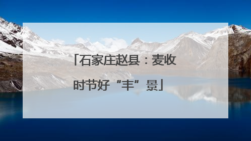 石家庄赵县：麦收时节好“丰”景