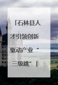 石林县人才引领创新驱动产业“三级跳”