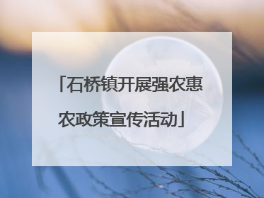 石桥镇开展强农惠农政策宣传活动